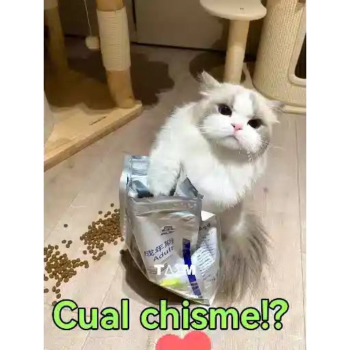 贴纸