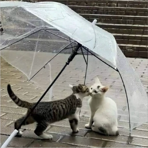 استیکر