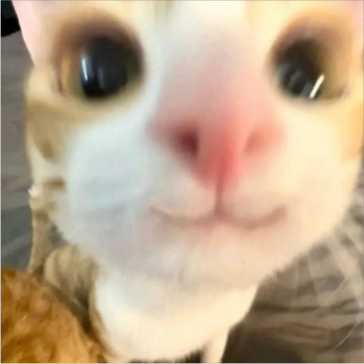 استیکر
