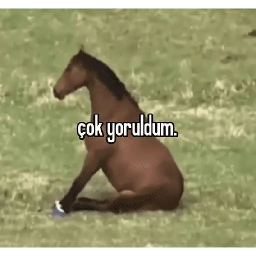 Autocollant