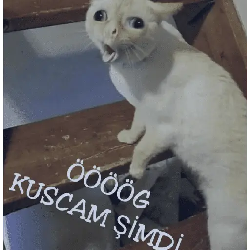 Autocollant