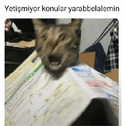 Autocollant